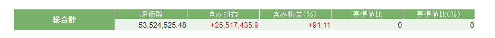 2024年5月末の資産状況